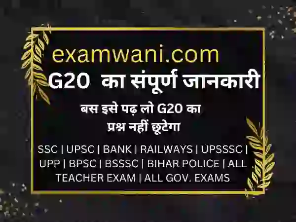 G20 : स्थापना, सदस्य, शिखर सम्मेलन-2023, थीम, कार्य समूह की बैठकें